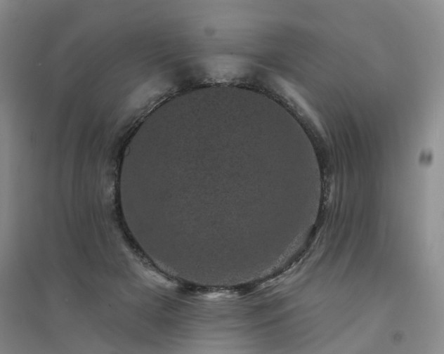 X0000094440505200711151408