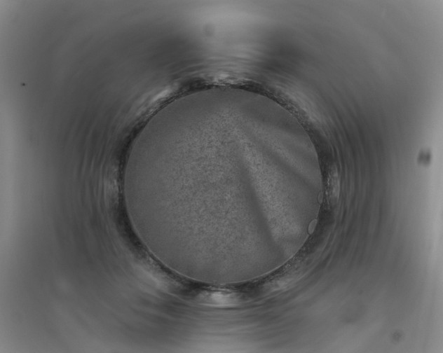X0000094440506200711151408