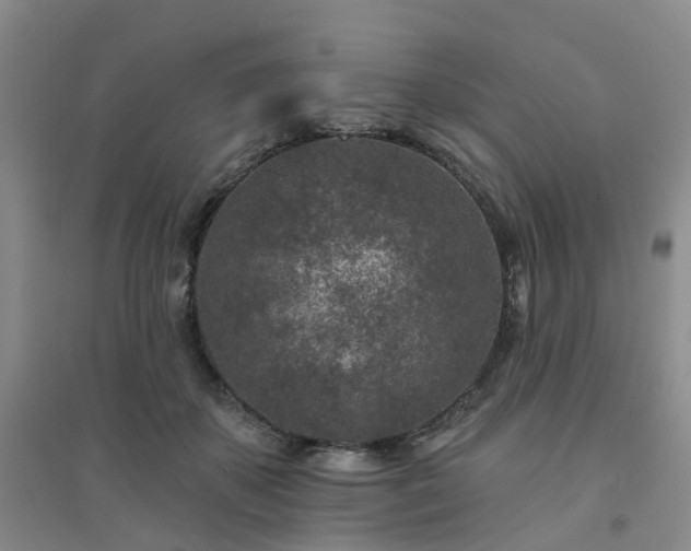 X0000094440507200711151408