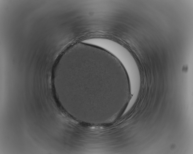 X0000094440508200711151408