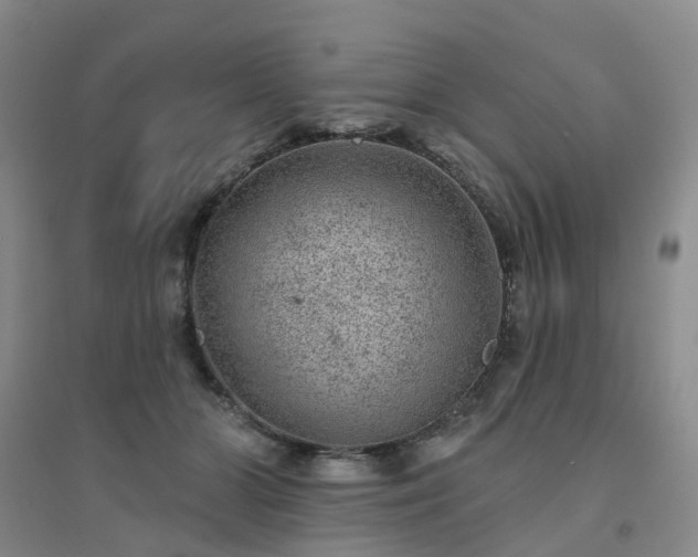 X0000094440510200711151408