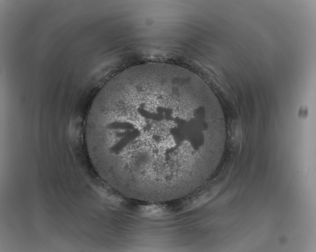 X0000094440511200711151408