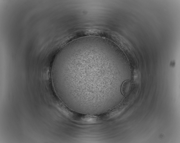 X0000094440514200711151408