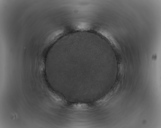 X0000094440517200711151408