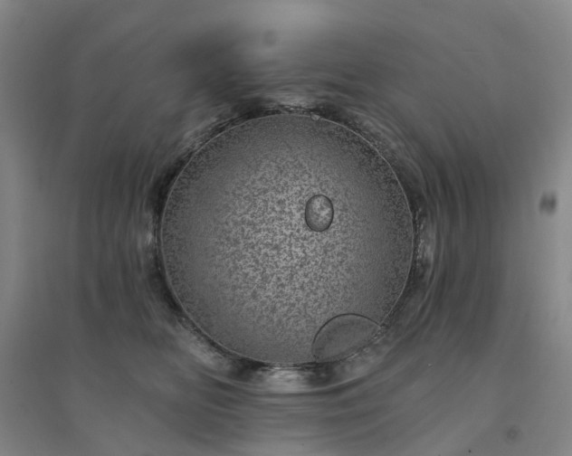 X0000094440518200711151408
