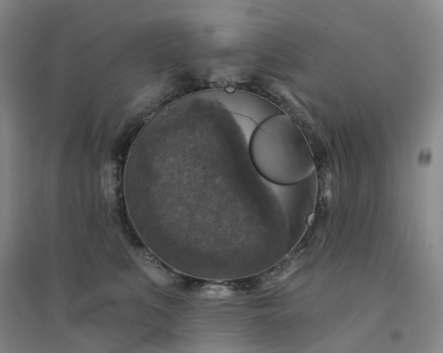 X0000094440519200711151408