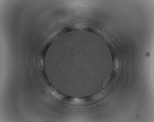 X0000094440522200711151408