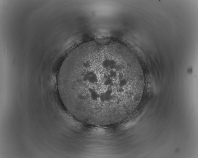 X0000094440523200711151408
