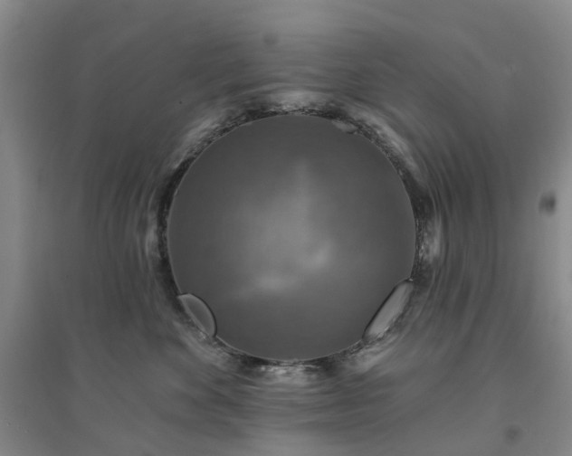 X0000094440524200711151408