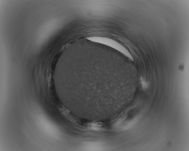 X0000094440525200711151408