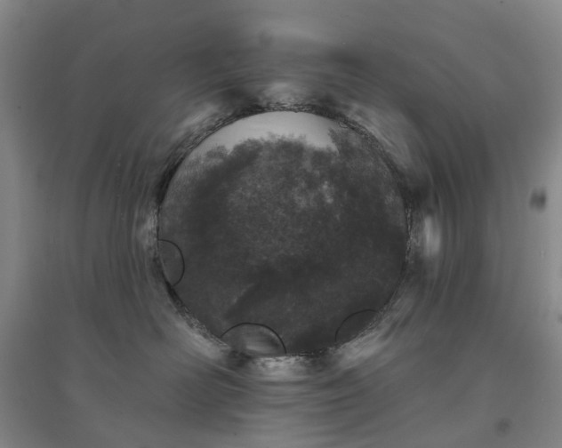 X0000094440526200711151408