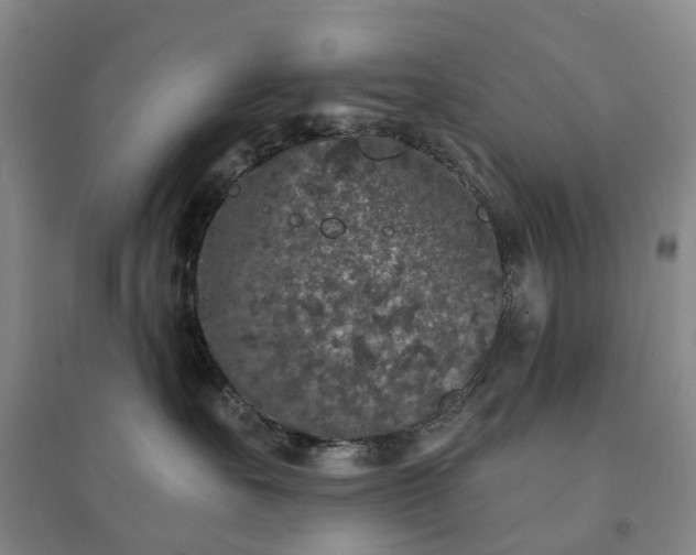 X0000094440527200711151407