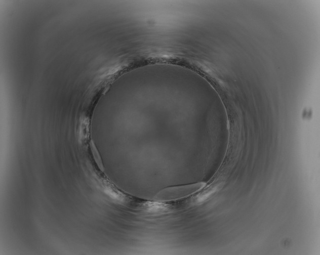 X0000094440528200711151407