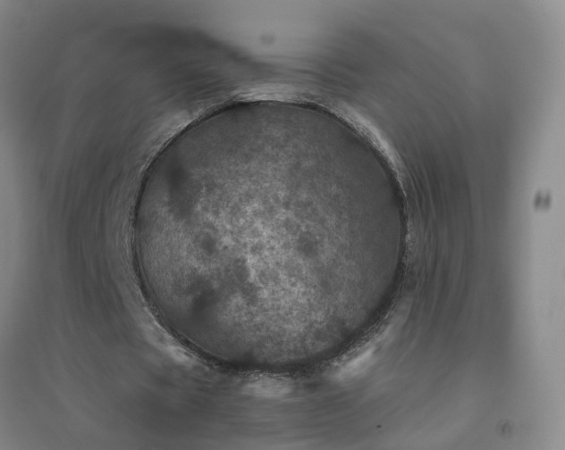 X0000094440529200711151407