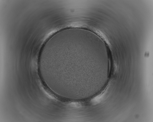 X0000094440530200711151407