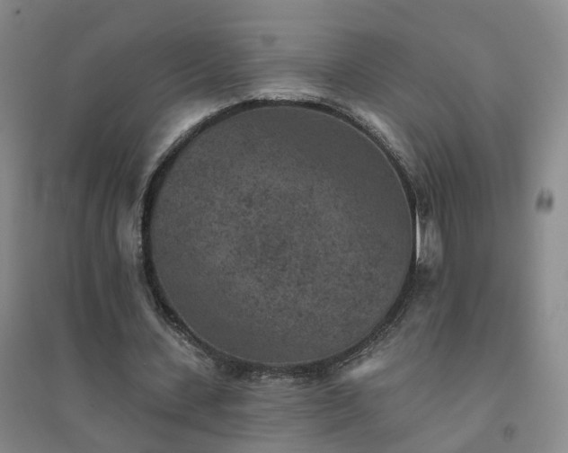 X0000094440531200711151407