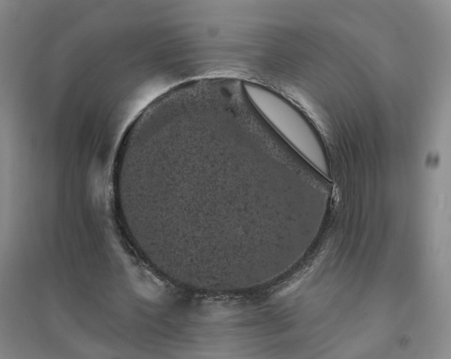 X0000094440532200711151407
