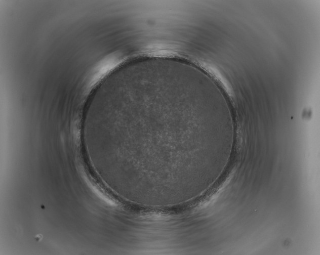 X0000094440533200711151407