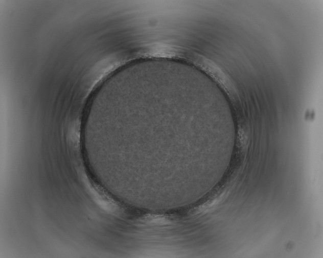 X0000094440534200711151407