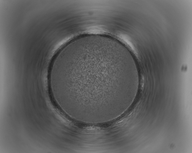 X0000094440535200711151407