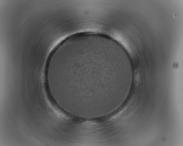 X0000094440536200711151407