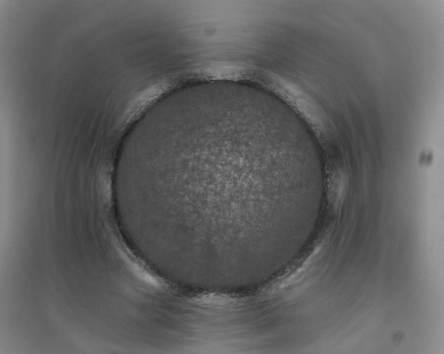 X0000094440537200711151407