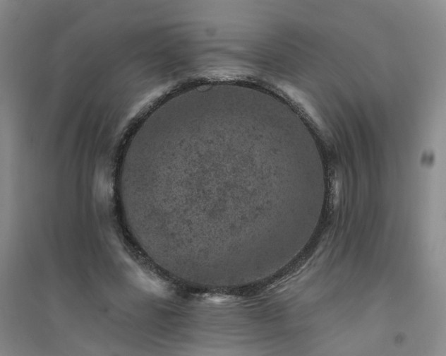 X0000094440539200711151407