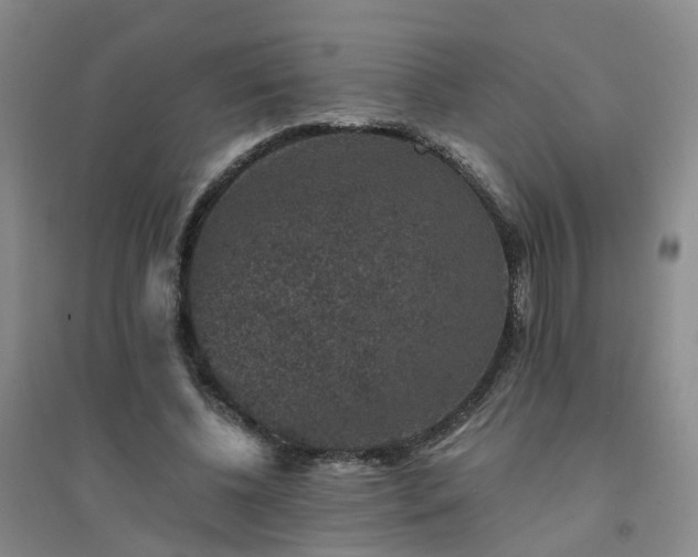 X0000094440540200711151407