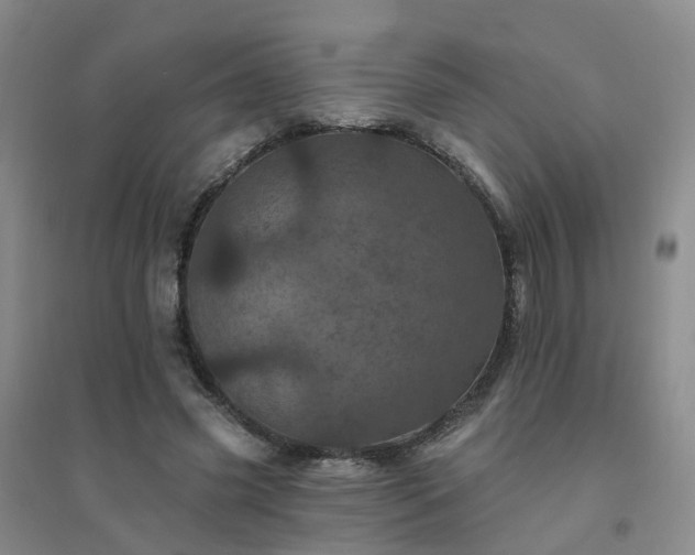 X0000094440541200711151407