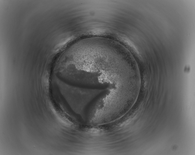X0000094440542200711151407