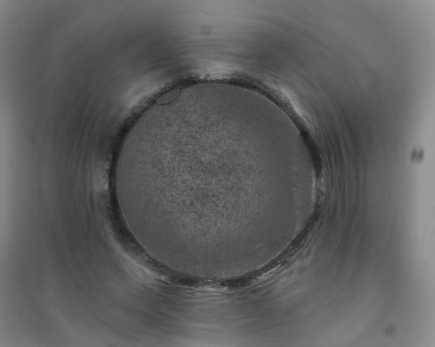 X0000094440543200711151407