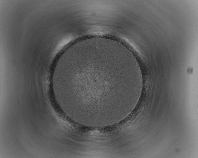 X0000094440544200711151407