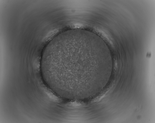 X0000094440545200711151407
