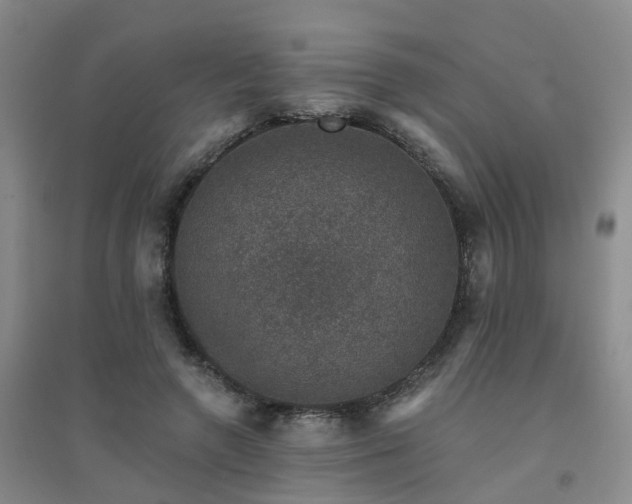 X0000094440546200711151407