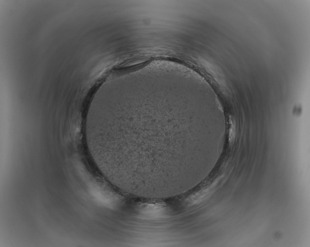 X0000094440548200711151407