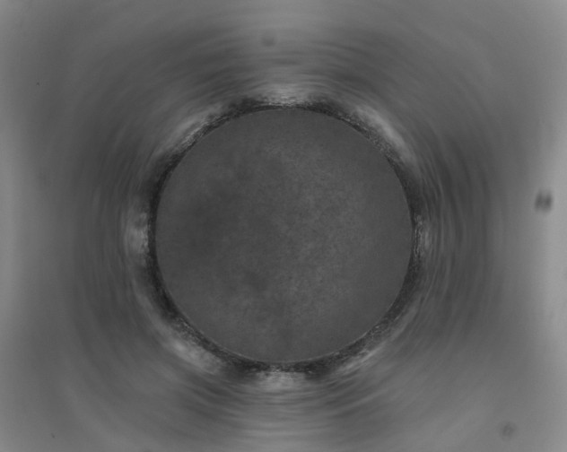 X0000094440549200711151407