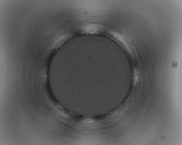 X0000094440551200711151407