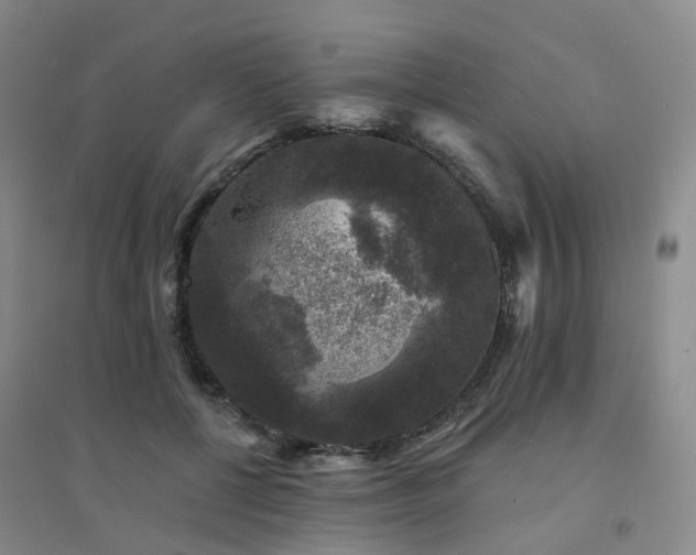 X0000094440552200711151407