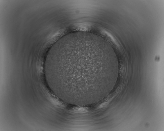 X0000094440553200711151407