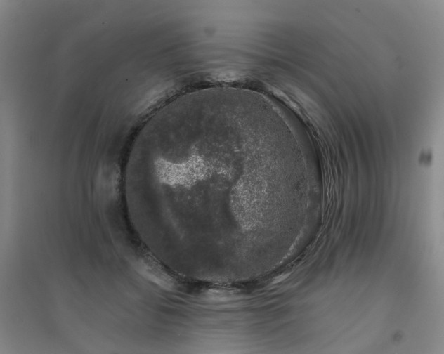 X0000094440556200711151407