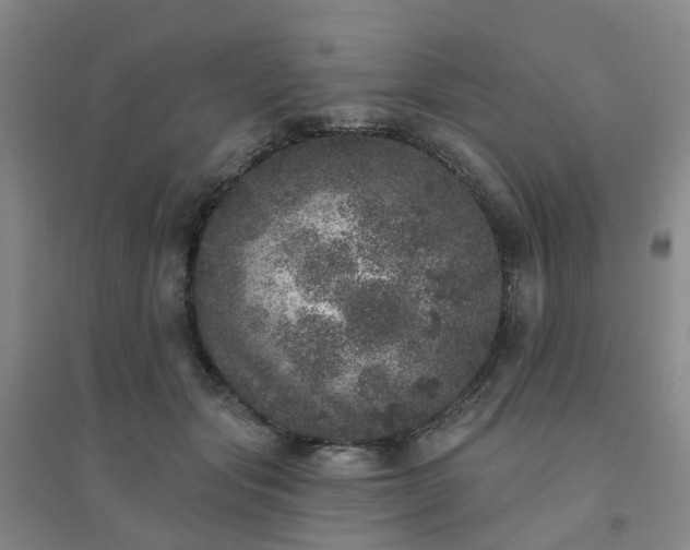 X0000094440557200711151407