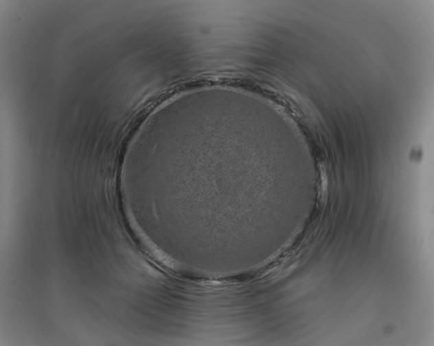 X0000094440558200711151407
