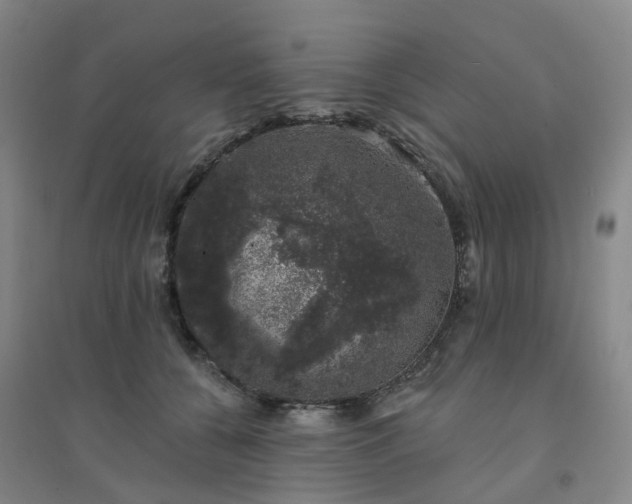 X0000094440560200711151407