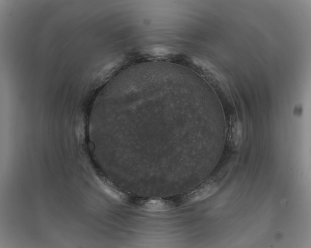 X0000094440562200711151407