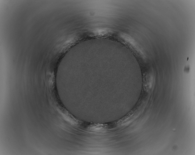 X0000094440563200711151407