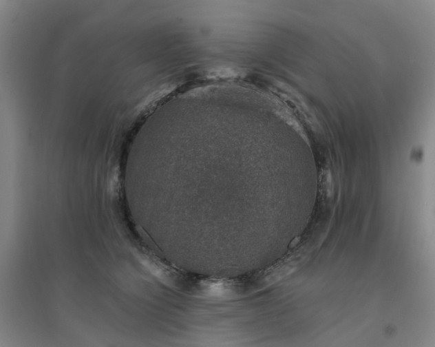 X0000094440564200711151407