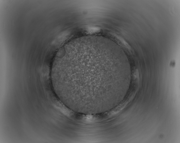 X0000094440565200711151407