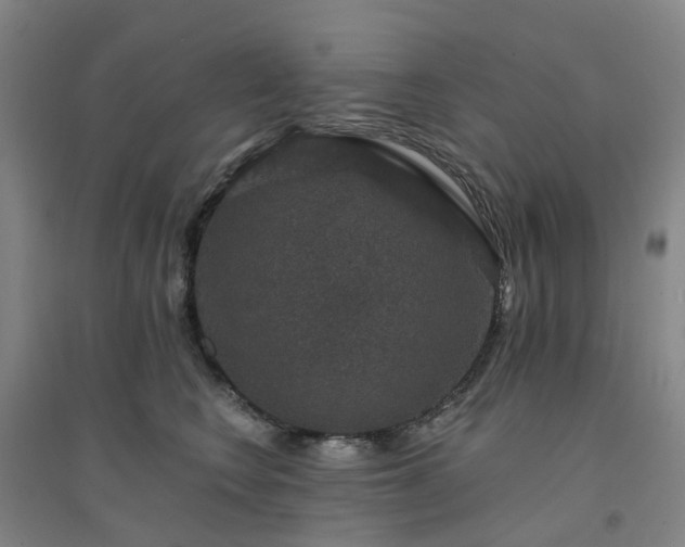 X0000094440566200711151407