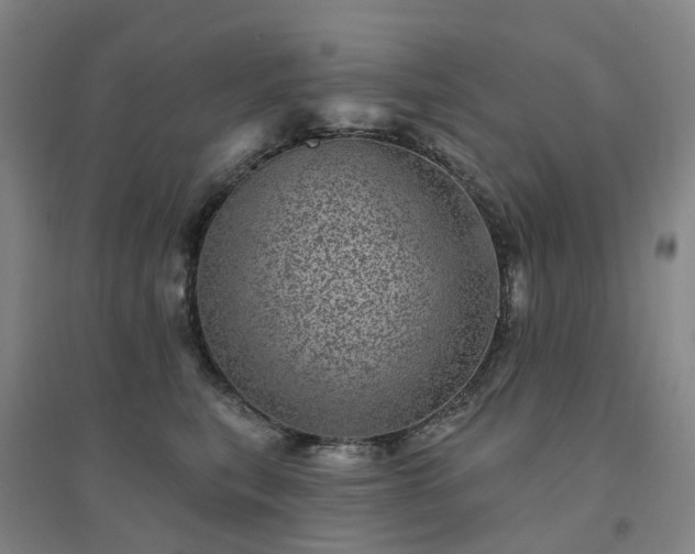 X0000094440567200711151407