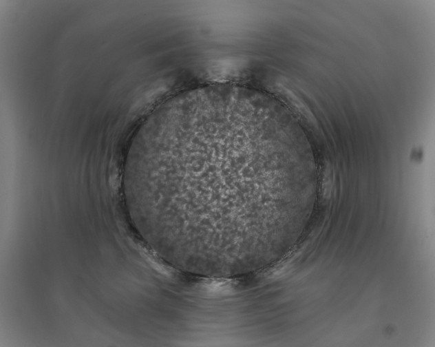 X0000094440569200711151407